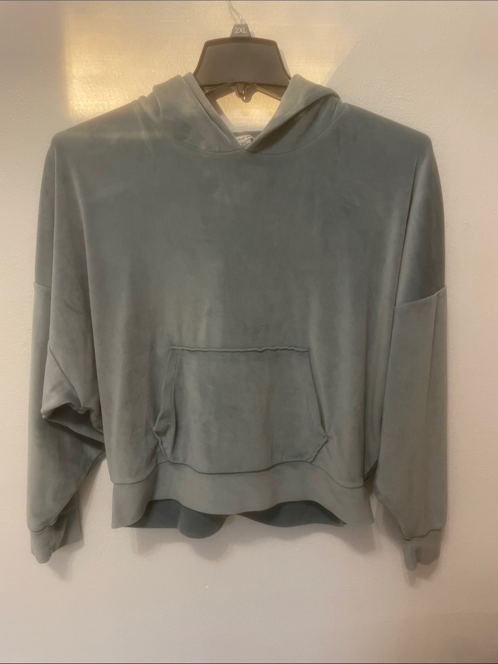 American Eagle Outfitters Plush Hooded Pullover in Light Sage